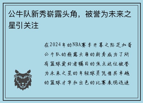 公牛队新秀崭露头角，被誉为未来之星引关注