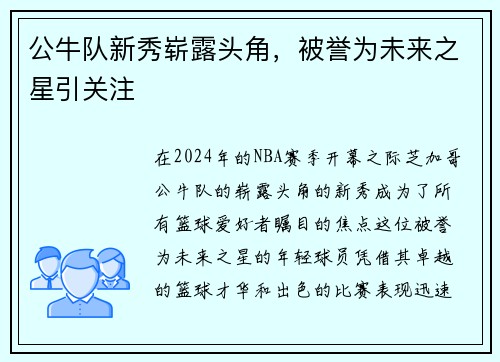公牛队新秀崭露头角，被誉为未来之星引关注